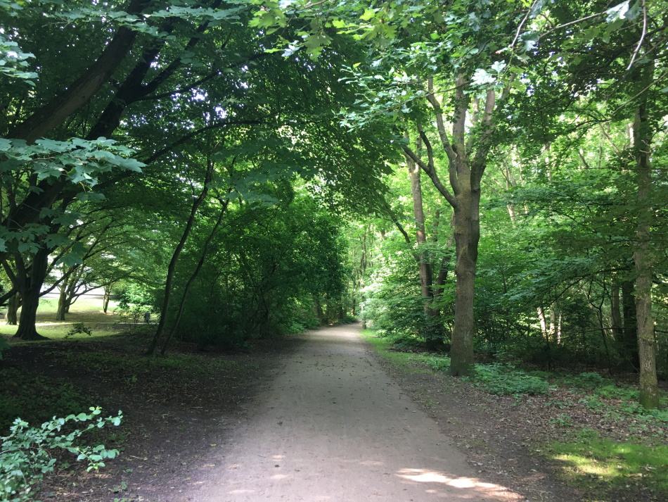 210627 F Hundeweg 0950x0713