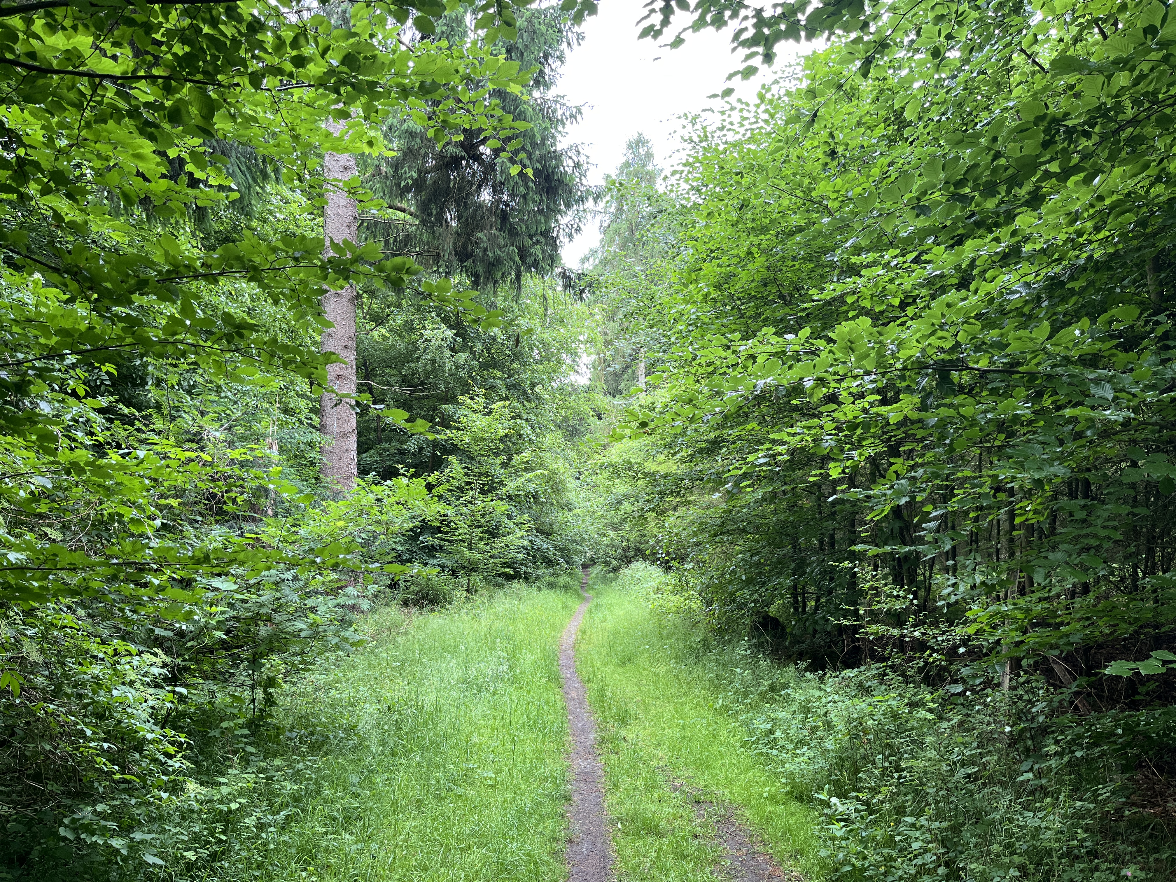 250612 Antibrumm 0152x0553