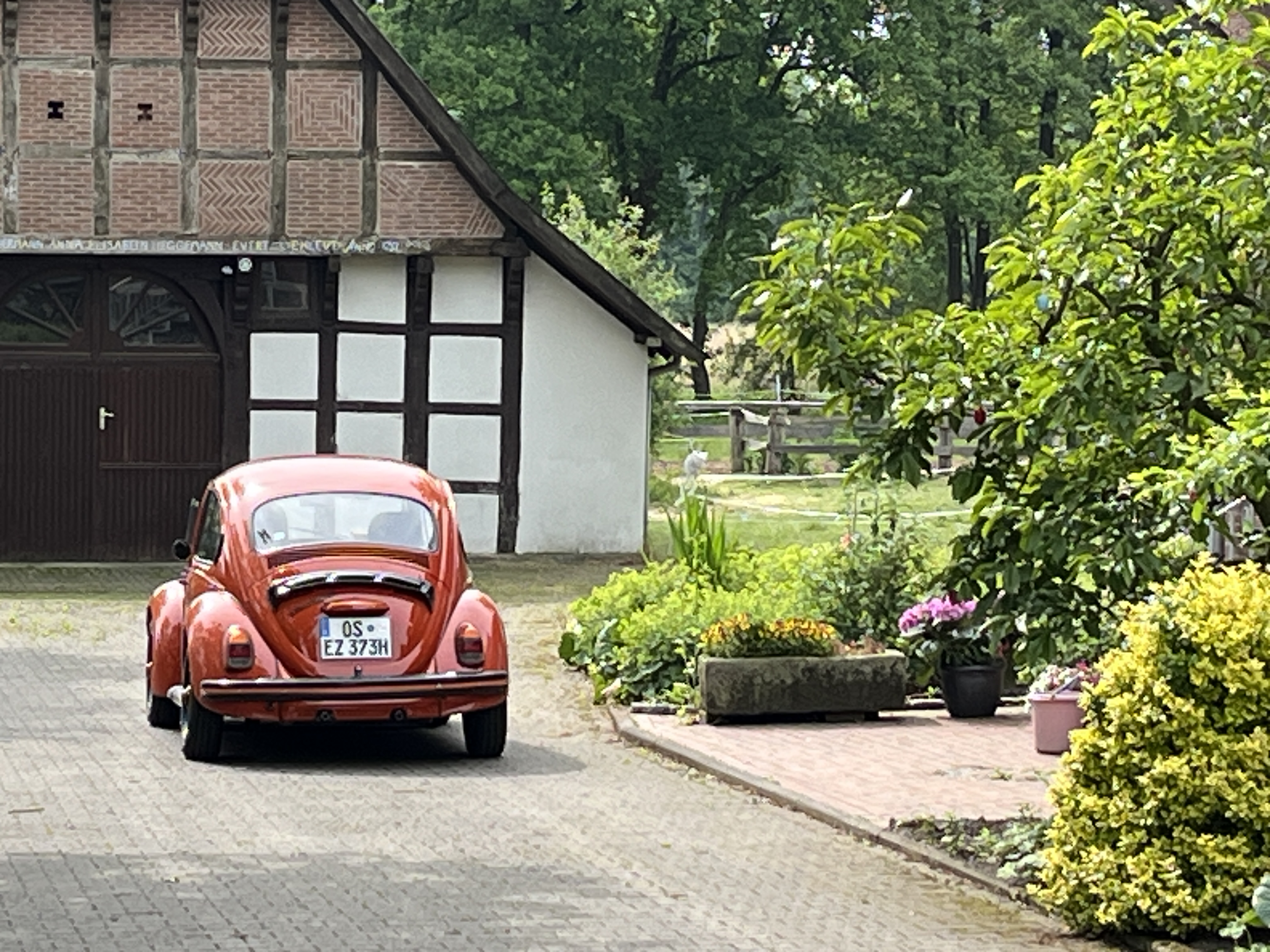 250612 Antibrumm 0152x0553