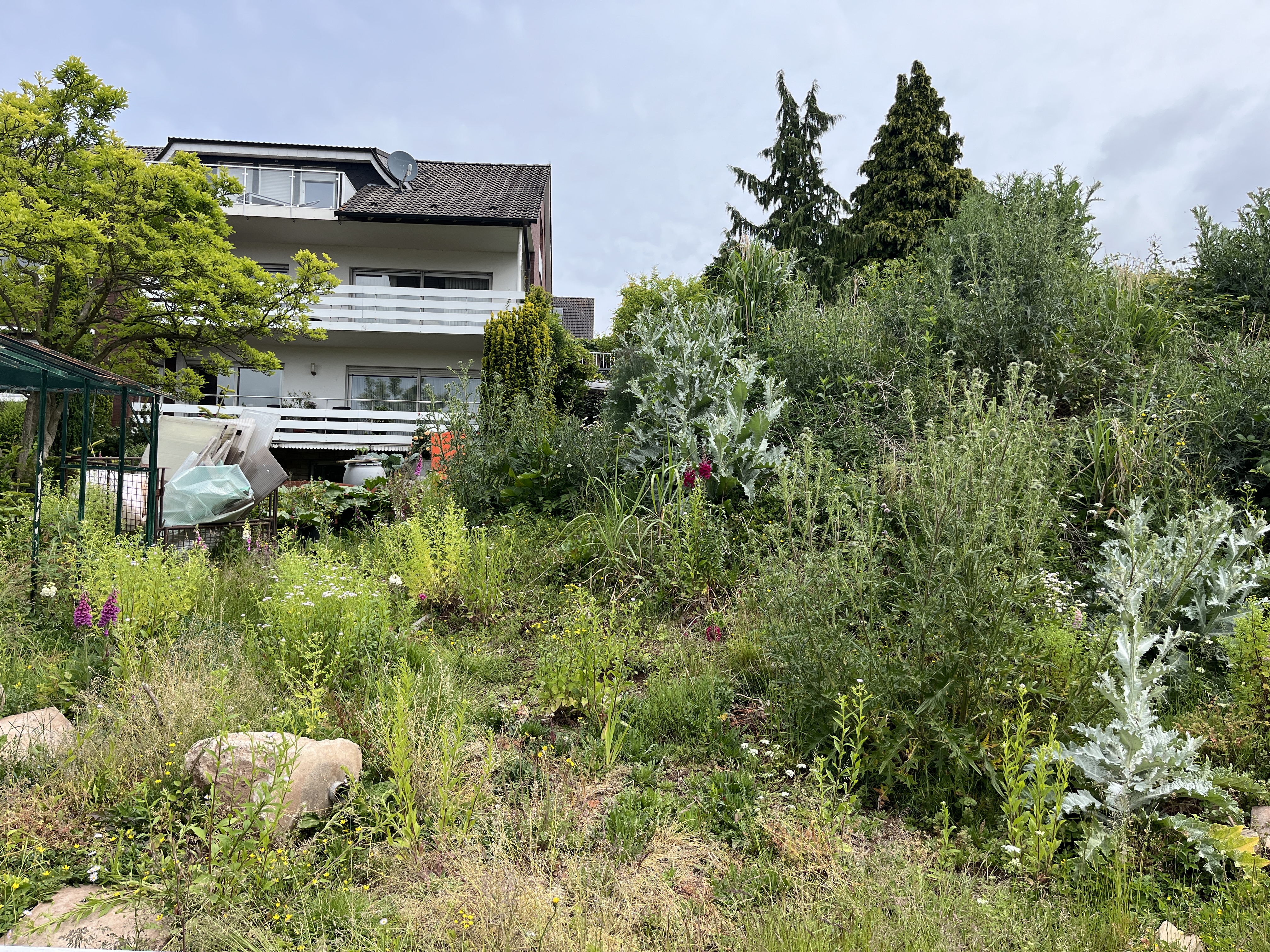 250612 Antibrumm 0152x0553