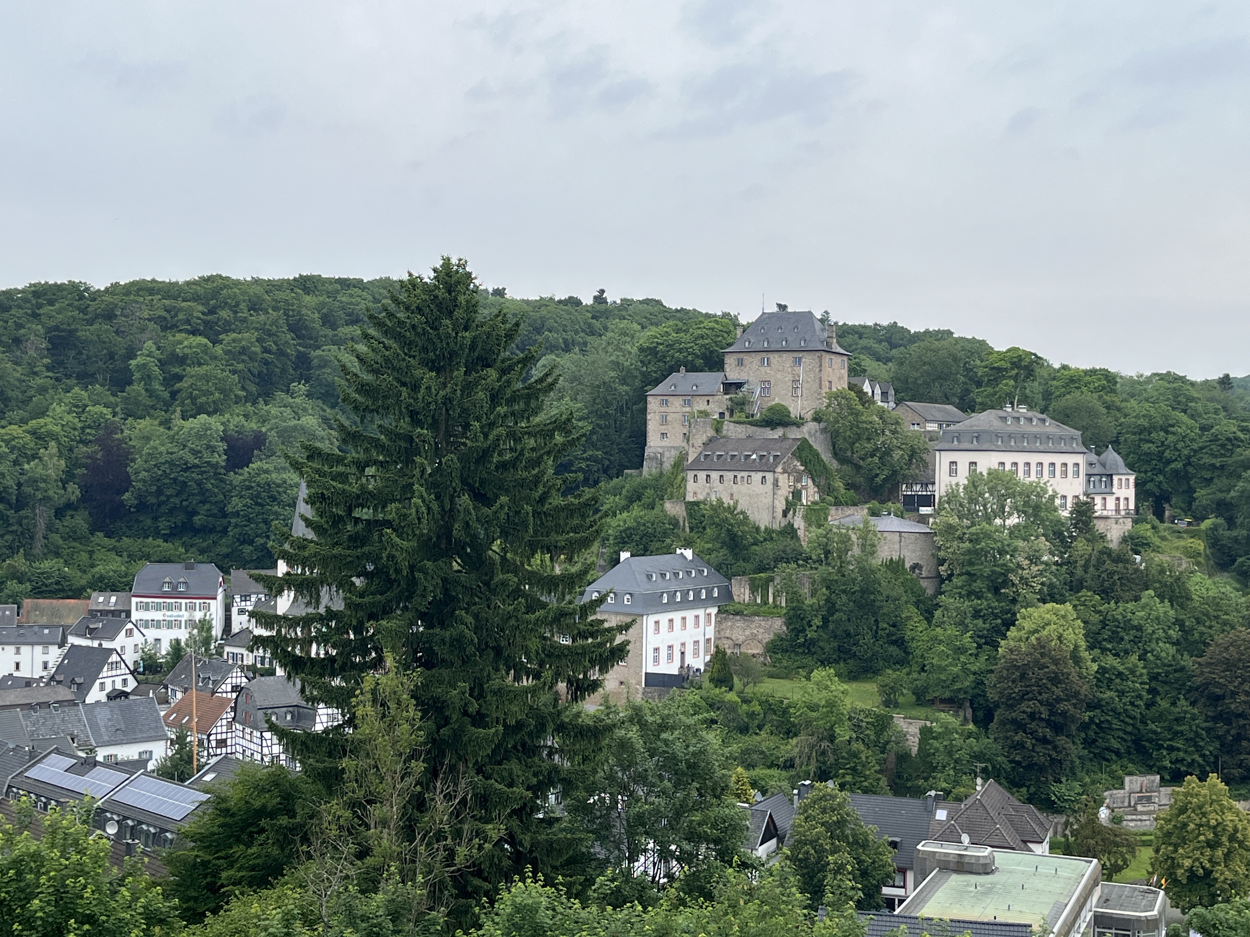 IMG_8271