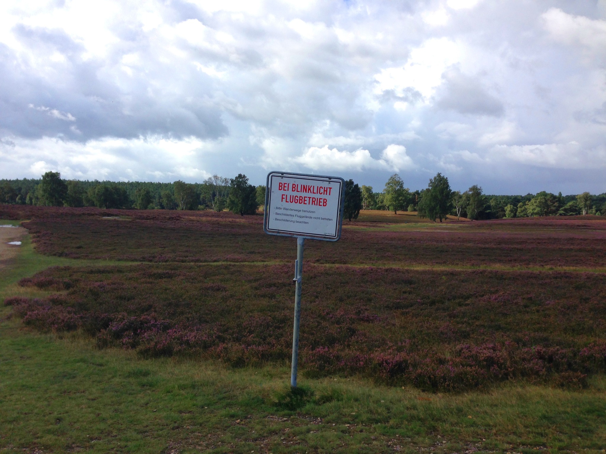 Fischbeker Heide